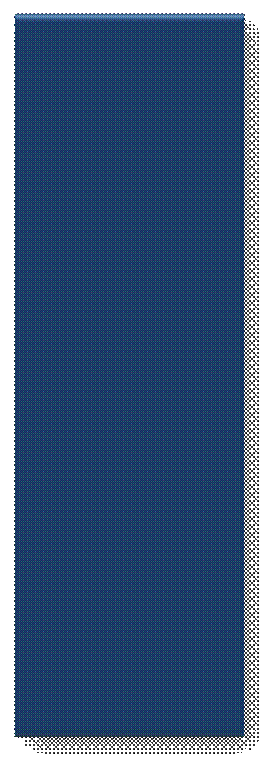 gro�e blaue Fl�che.jpg
